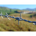 2014 Hot Sale Hot-Dipped Galvanized Barbed Wire